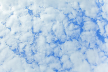 Similar image 835038