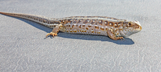 Similar image 835039