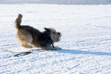 Similar image 835043