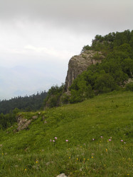 Similar image 835053