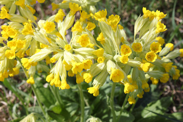 Similar image 835064