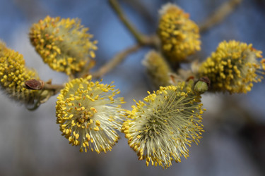 Similar image 835067