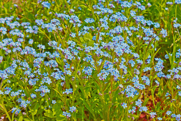 Similar image 835070