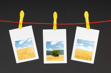 Similar image 835082