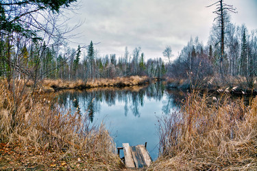 Similar image 835083