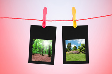 Similar image 835086