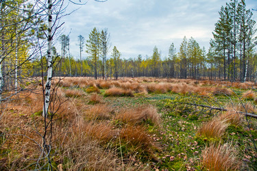 Similar image 835088