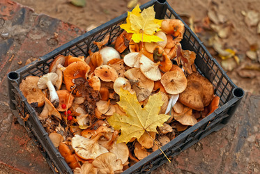 Similar image 835097