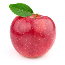 Similar image 835114