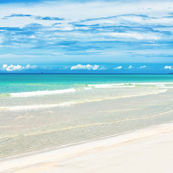 Similar image 835146