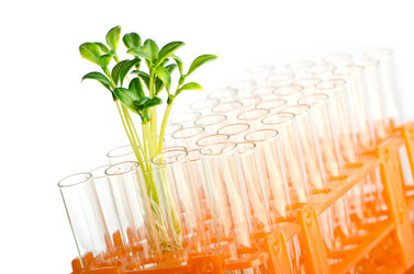 Similar image 835157