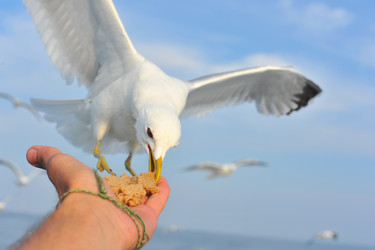 Similar image 835180