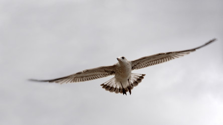 Similar image 835181