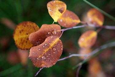 Similar image 835212