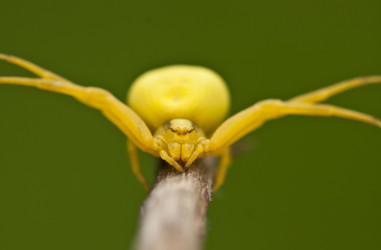 Similar image 835221