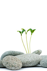 Similar image 835223