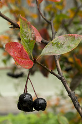 Similar image 835245