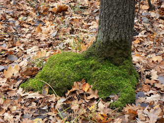 Similar image 835248