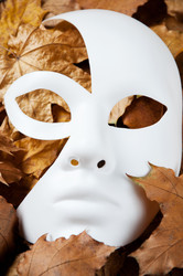 Similar image 835265