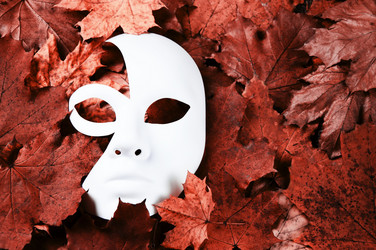 Similar image 835266