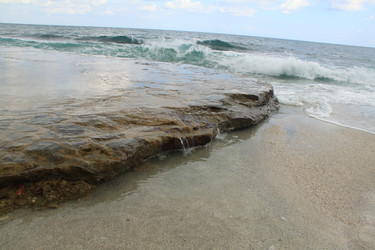 Similar image 835313