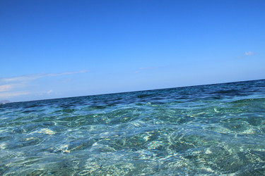 Similar image 835314