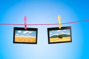 Similar image 835316