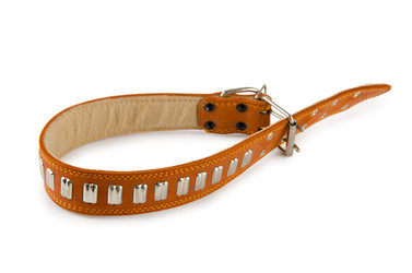 Similar image 835329