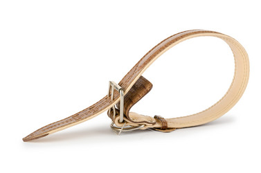 Similar image 835331