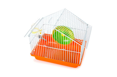 Similar image 835332