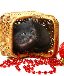 Similar image 835391