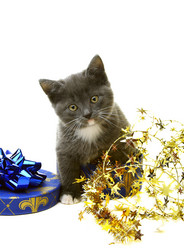 Similar image 835394