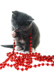 Similar image 835395