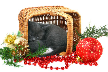 Similar image 835396