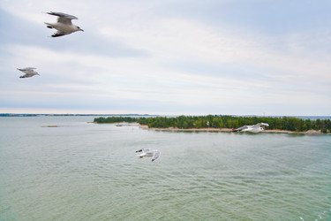 Similar image 835428