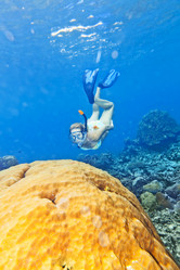 Similar image 835439