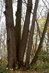 Similar image 835465