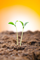 Similar image 835475