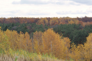 Similar image 835479