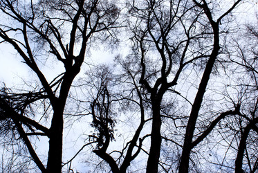 Similar image 835527