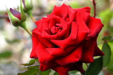 Similar image 835541