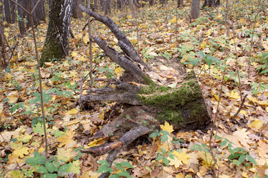 Similar image 835584