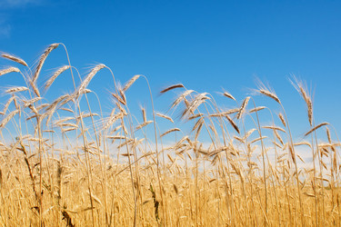 Similar image 835588