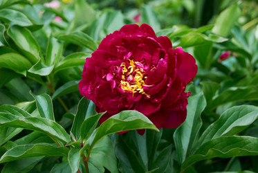 Similar image 835598