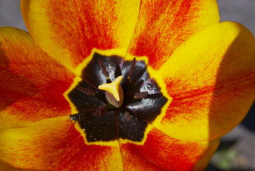 Similar image 835601