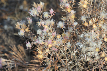 Similar image 835645