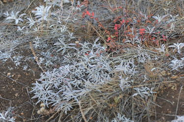 Similar image 835646