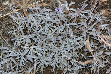 Similar image 835647