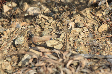 Similar image 835649