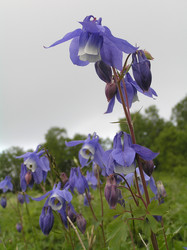 Similar image 835672